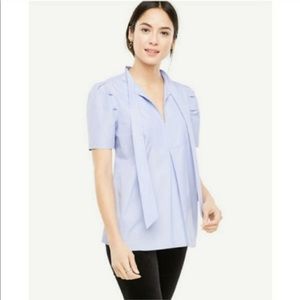 Ann Taylor Blouse